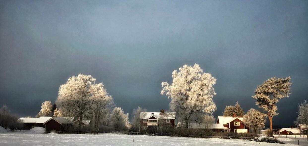 Вілла Det Gamla Panget Теллберг Екстер'єр фото